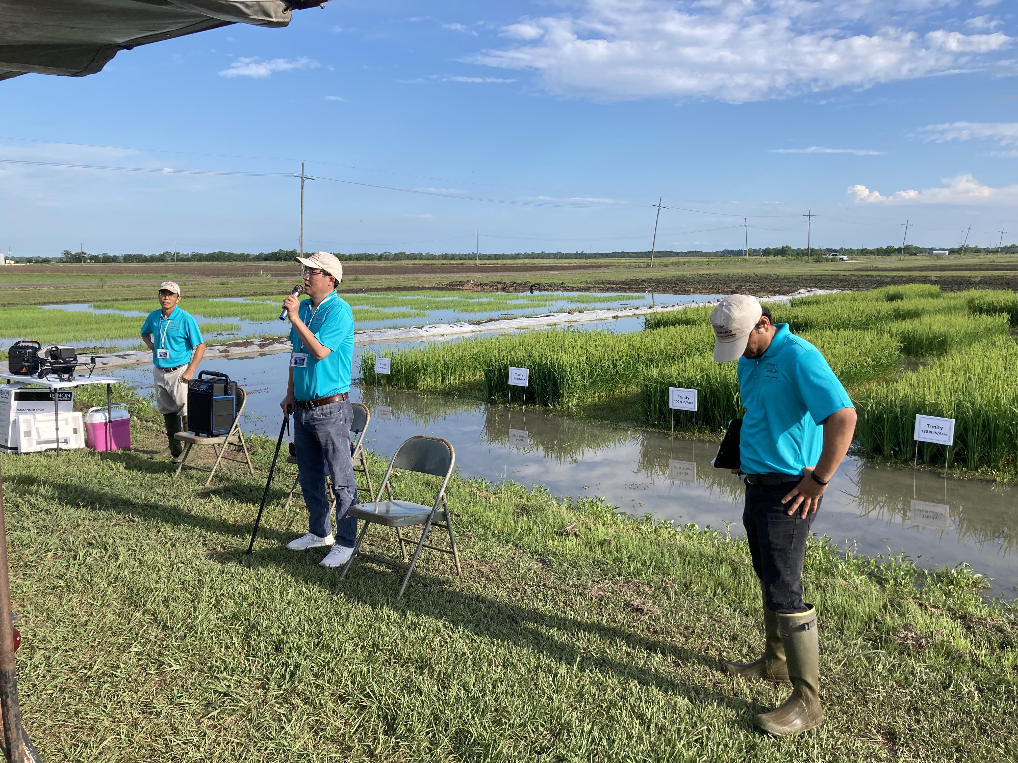 Rice Field Days and Future Organic Rice Research – Texas A&M AgriLife ...