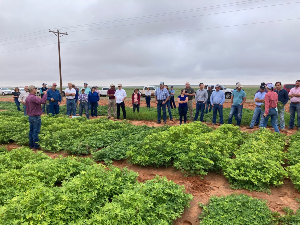 West Texas Organic Cotton and Peanut Tour&nbsp;Set