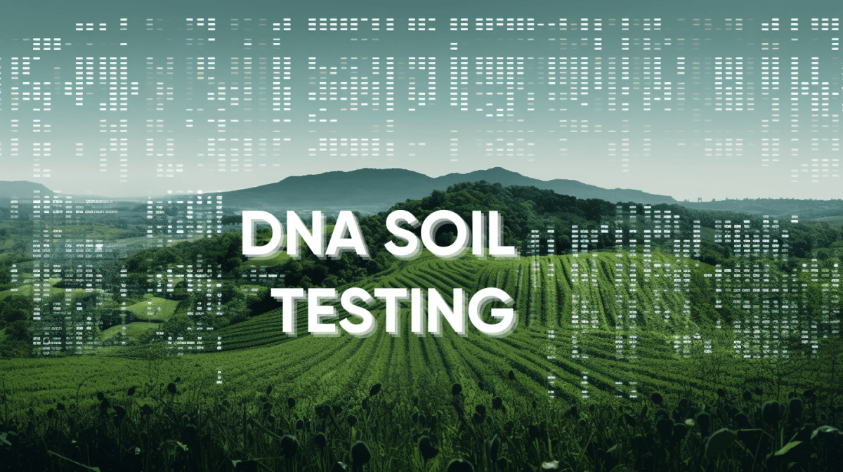 How Organic Farming Practices Revive Soil Health and Microbial Diversity: Evidence from DNA&nbsp;Studies