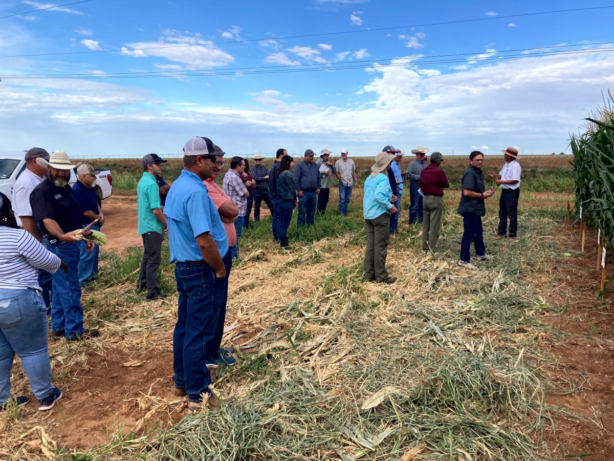 Lots of Summer Tours with Organic&nbsp;Topics!