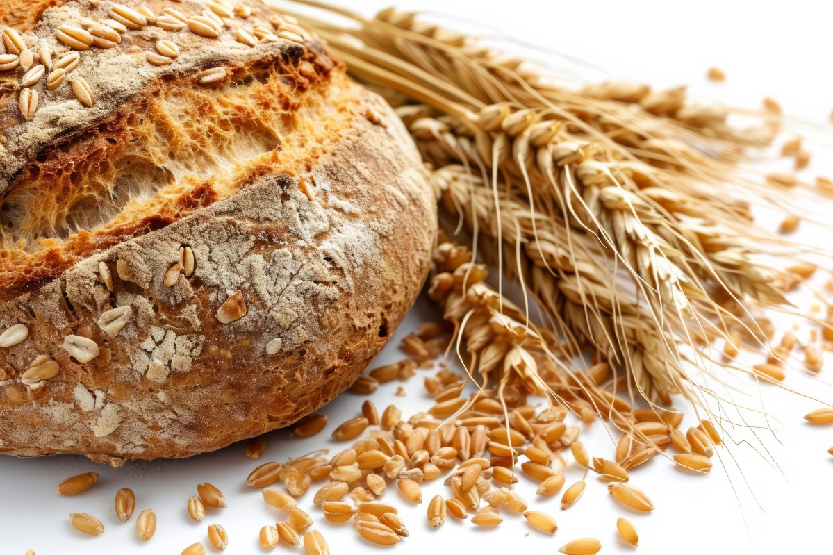 Milling, Baking, Planting Organic Wheat: What Farmers Need to&nbsp;Know