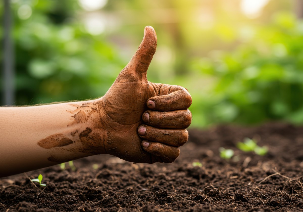 Organic Isn’t Just a Production System—It’s a&nbsp;Promise!