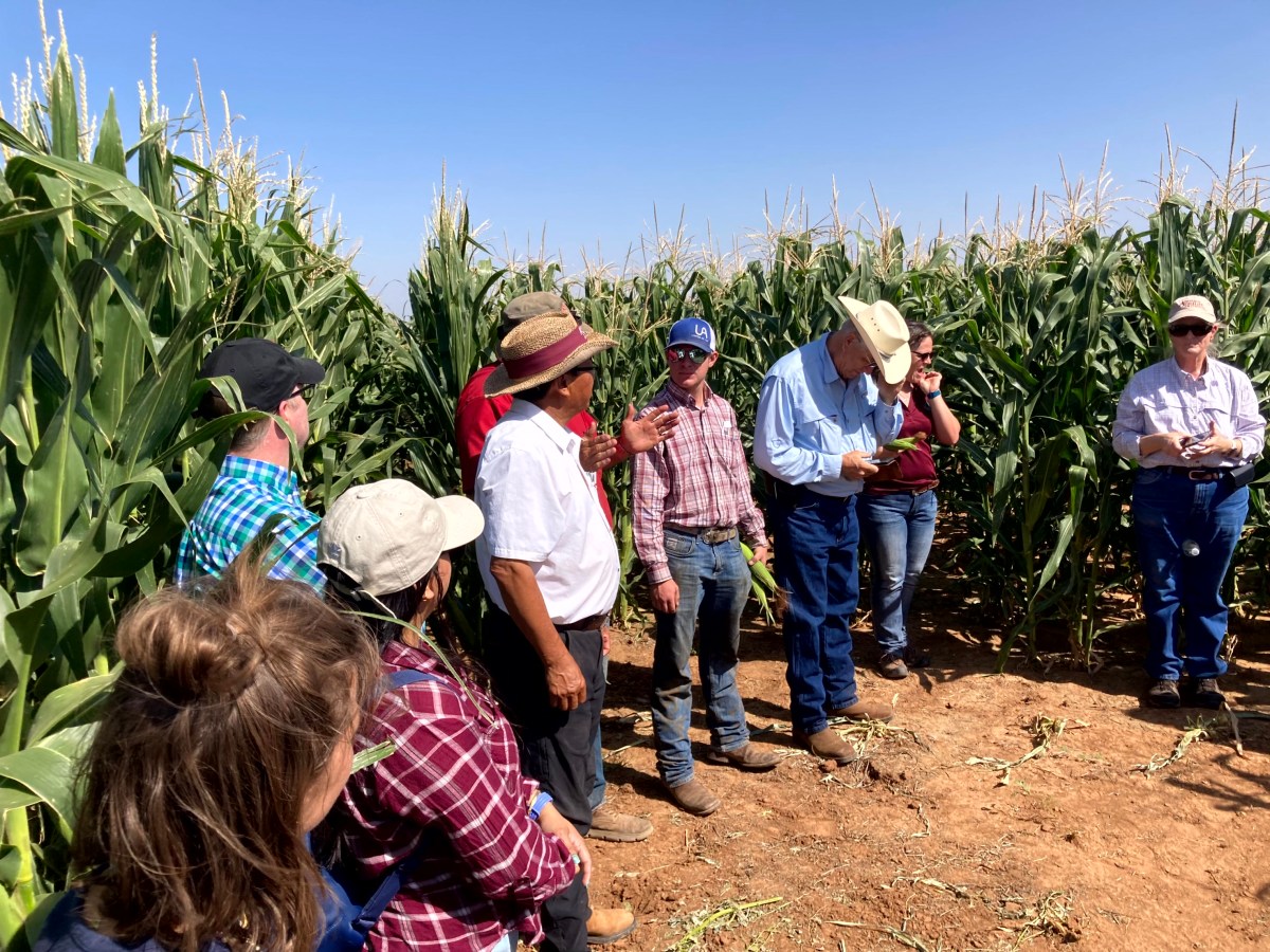 Organic Variety Production Tour – Thursday, September&nbsp;3rd