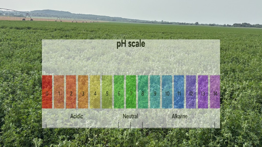 A lush green field with a pH scale overlay, indicating levels from 0 to 14, showing acidic, neutral, and alkaline ranges.