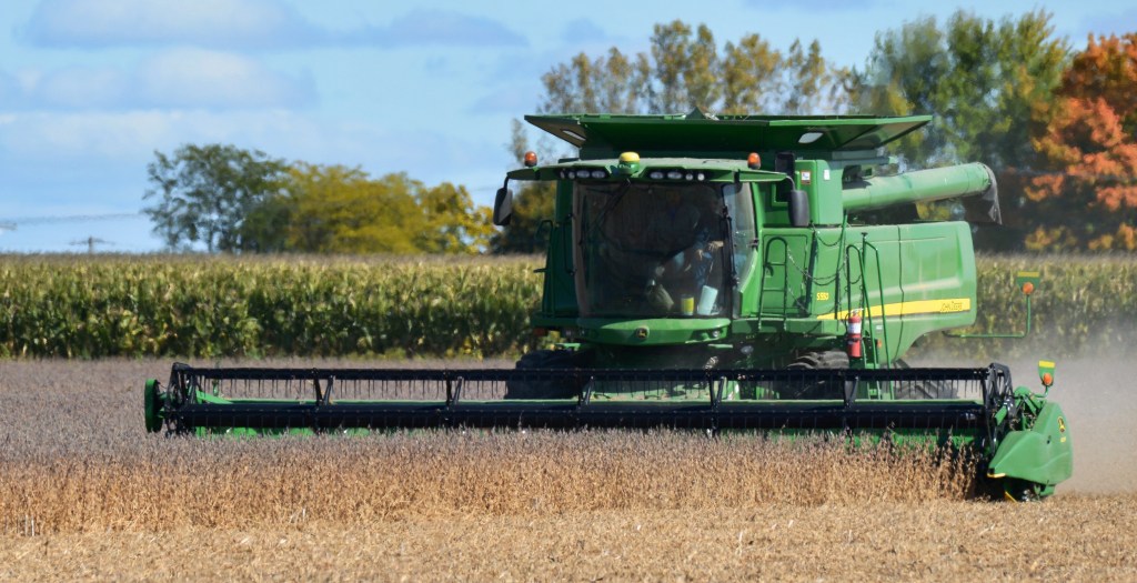 Commercial combine harvest of a dry-seeded legume crop. Small-grain combines are commonly used for dry cowpea harvest, with careful adjustment needed to minimize seed damage.