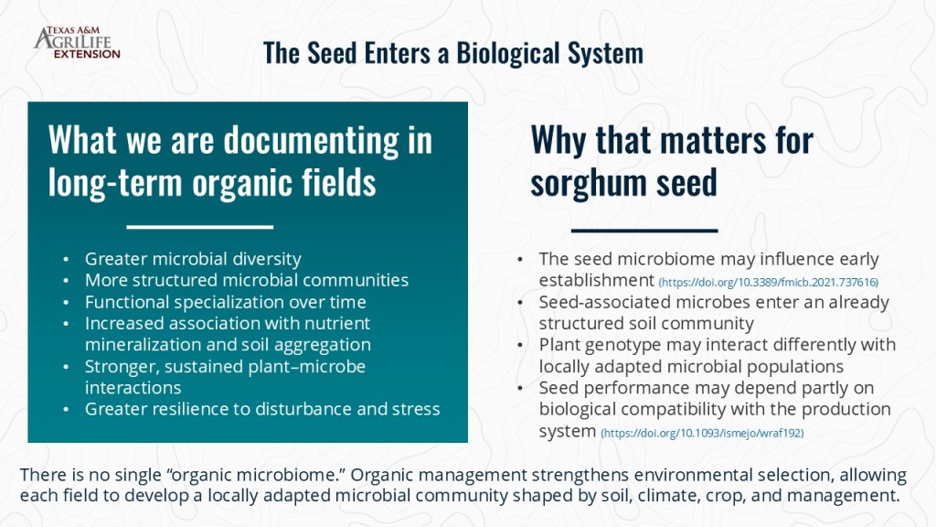 Infographic detailing the impact of organic farming on microbial diversity and its significance for sorghum seed.