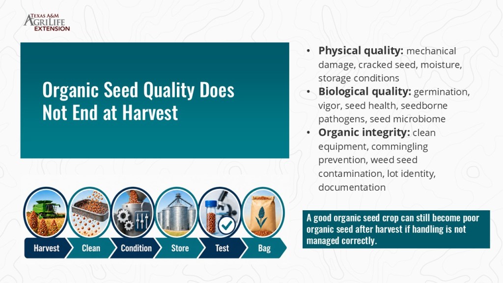 Infographic titled 'Organic Seed Quality Does Not End at Harvest', detailing physical, biological, and organic integrity factors related to seed quality after harvest. Includes icons representing harvesting, cleaning, conditioning, storing, testing, and bagging seeds.
