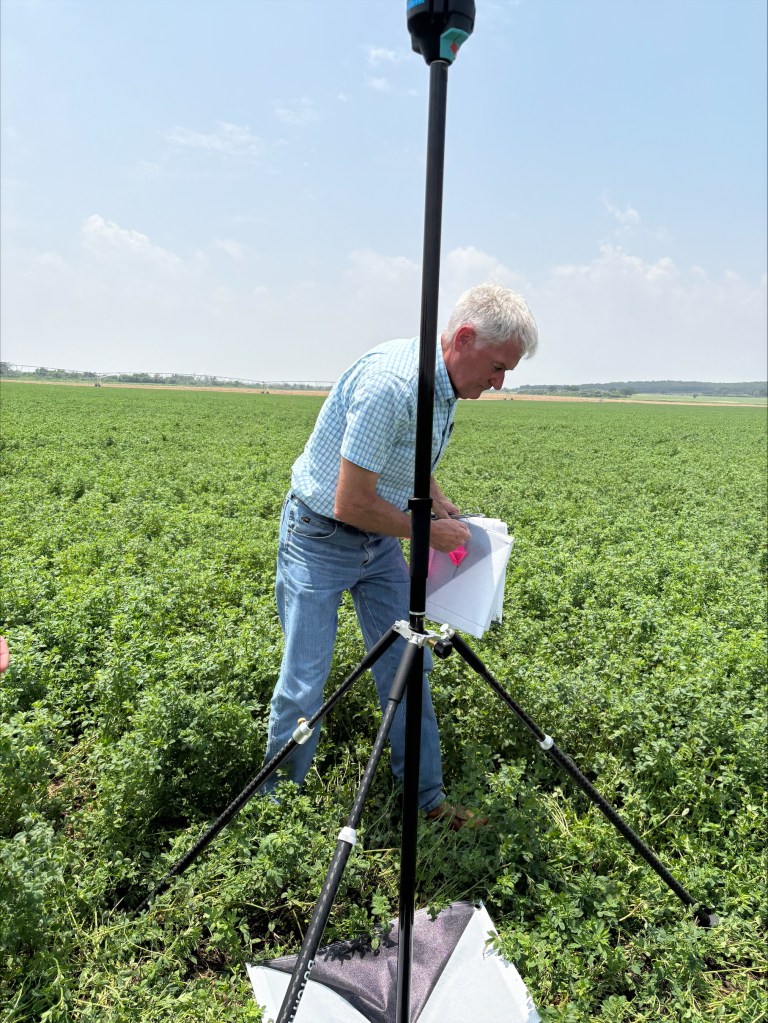 A person in a checked shirt is inspecting papers while standing in a lush green field, with a tripod setup nearby under a bright sky.