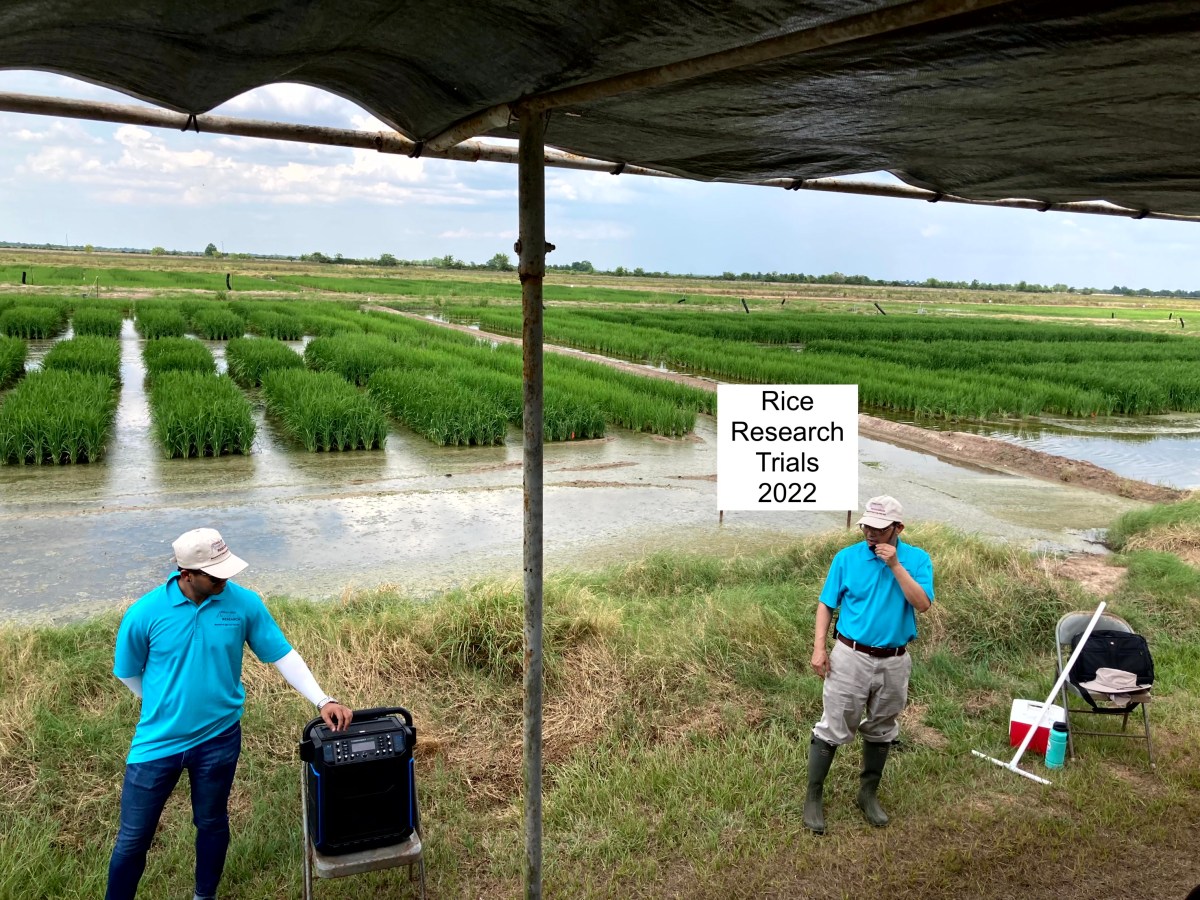 USDA OREI Grants: Turning Organic Producer Needs into Research, Extension, and Better Farming&nbsp;Tools