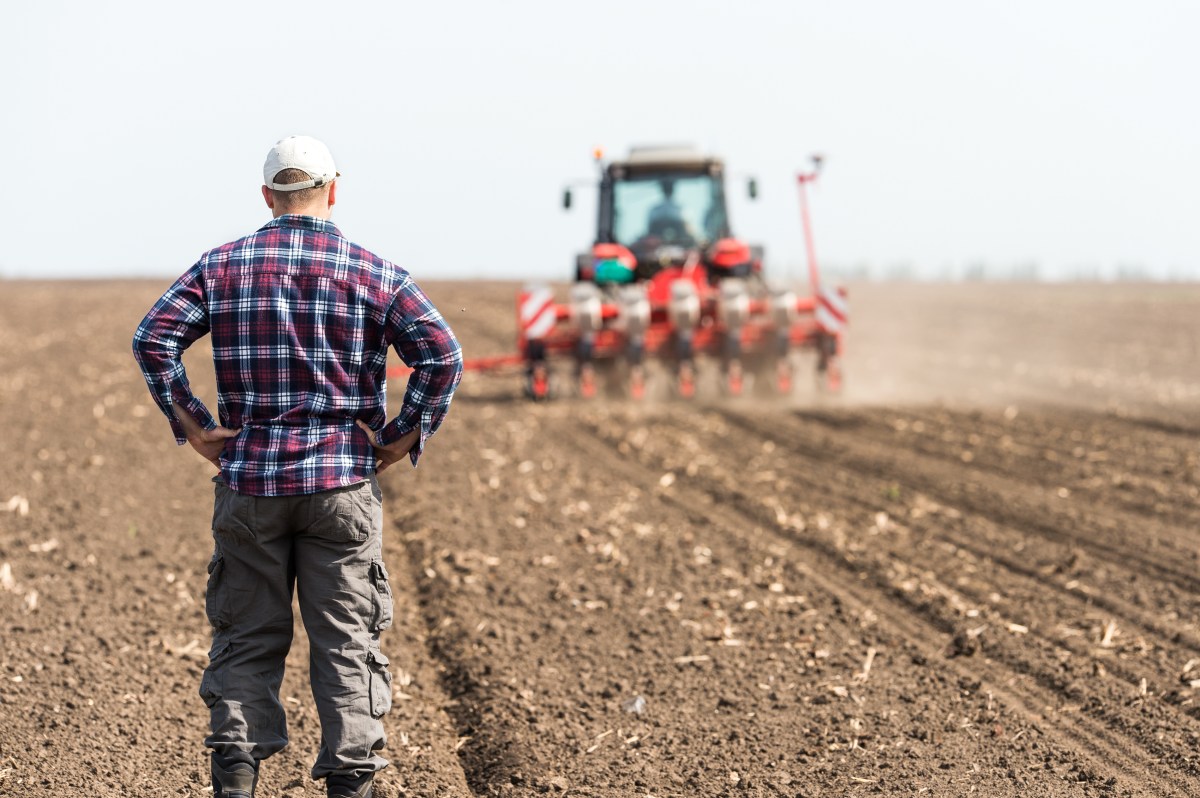 USDA Is Looking for an Organic Farmer to Help Shape Organic&nbsp;Standards