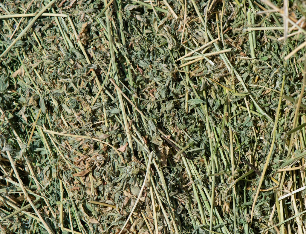 Dried green herbs and leaves scattered on a surface, showing a mix of textures and shades of green.