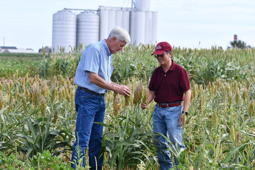 Two men inspecting crops in a field with grain plants, silos in the background.