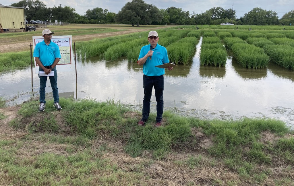 A man in a blue shirt stands speaking in front of a field of rice plants, while another man in a blue shirt stands next to him holding a paper. A sign nearby reads 'Brazos River Eagle Lake Project.' There is a body of water in the foreground.